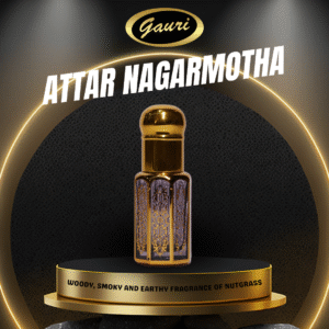 Nagarmotha or Cypriol Attar